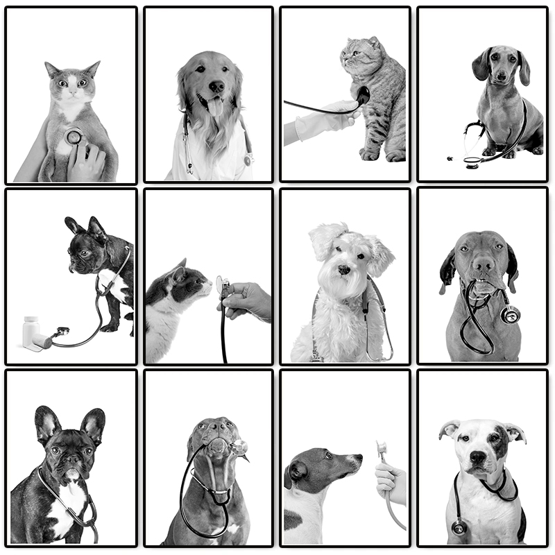 Stethoscope - Animal Doctor Vet Med Poster Dogs