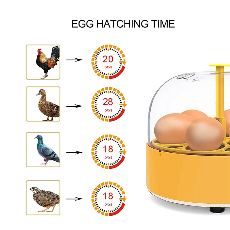 Breeding Incubator Chicken Duc - Lab Incubator recension och pris
