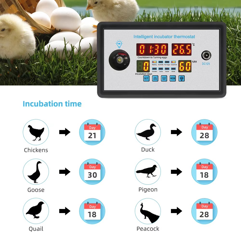 ZFX-W9002 12V/220V Egg Incubat - Lab Incubator recension och pris