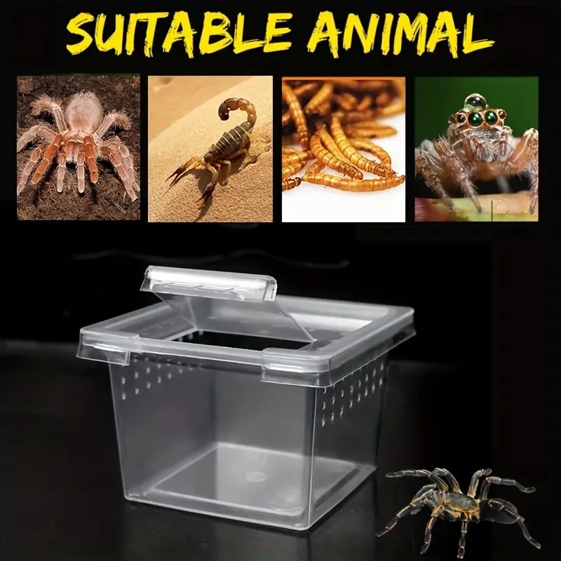 10 Feeding Box Reptile Cages I - Lab Incubator recension och pris