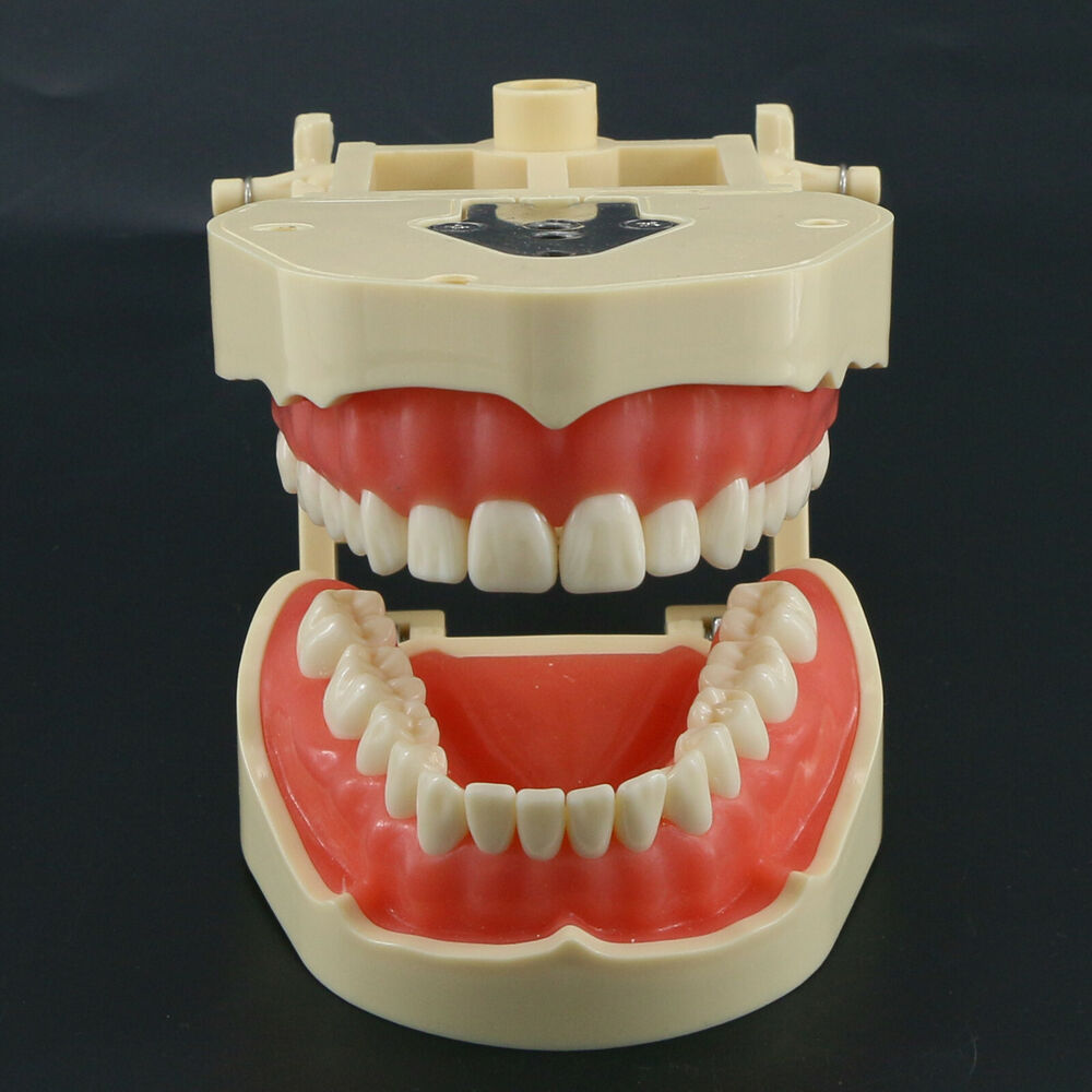 Frasaco ANA-4 Dental Restorati - Stethoscope recension och pris