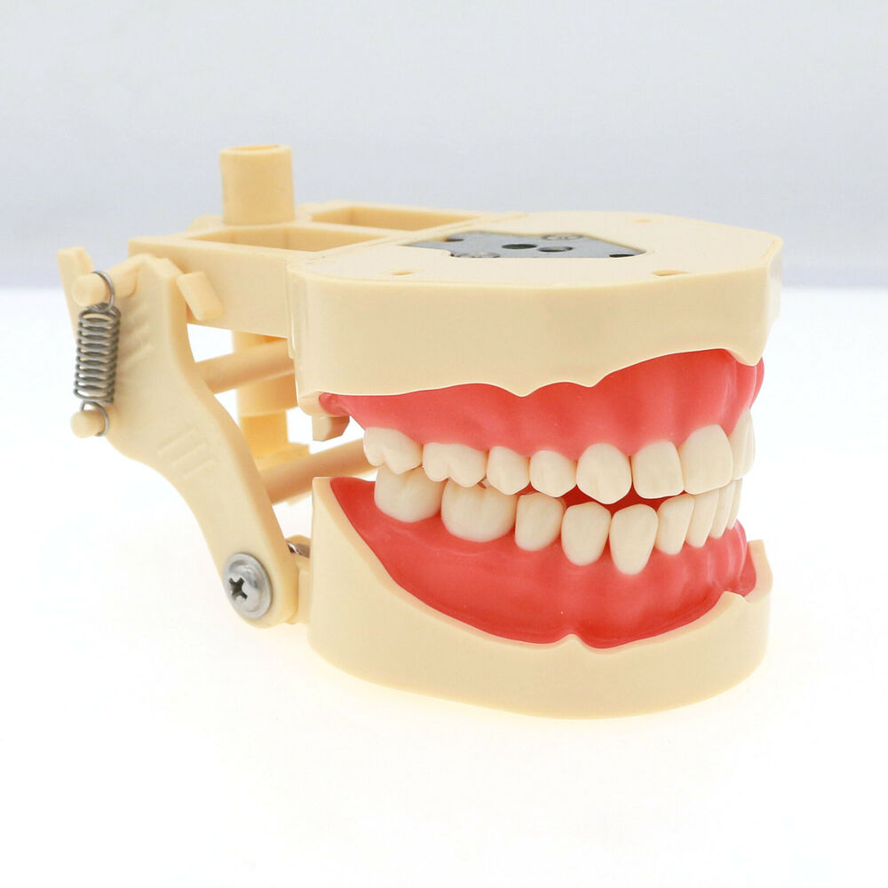 Frasaco ANA-4 Dental Restorati - Stethoscope recension och pris