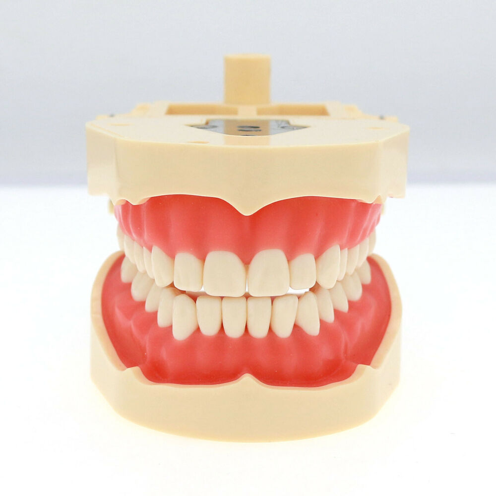 Frasaco ANA-4 Dental Restorati - Stethoscope recension och pris
